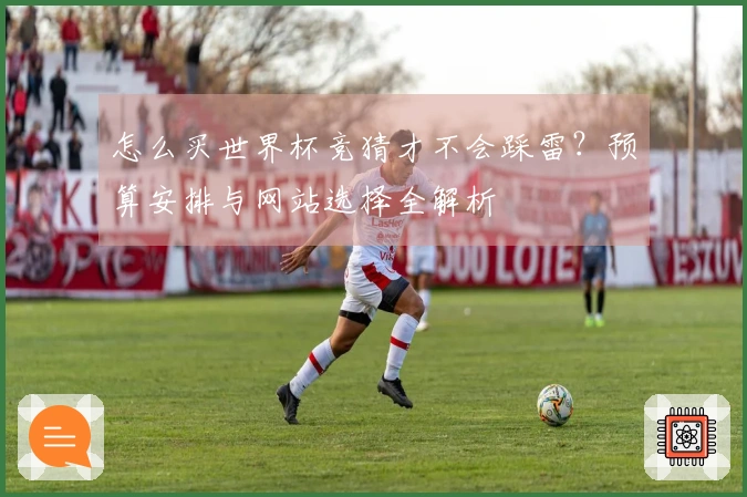 怎么买世界杯竞猜才不会踩雷?预算安排与网站选择全解析