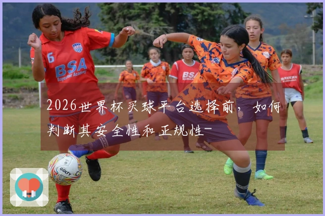 2026世界杯买球平台选择前，如何判断其安全性和正规性-