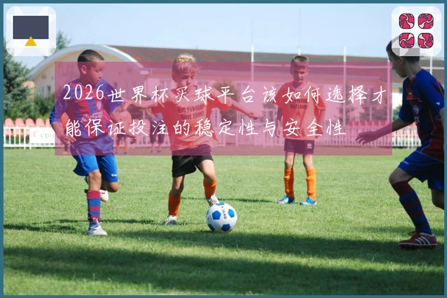 2026世界杯买球平台该如何选择才能保证投注的稳定性与安全性