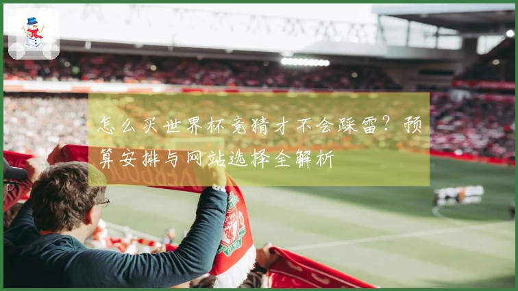 怎么买世界杯竞猜才不会踩雷？预算安排与网站选择全解析