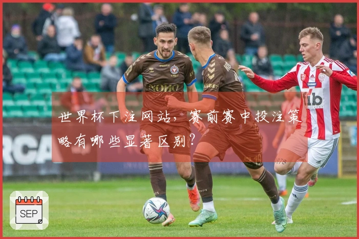 世界杯下注网站，赛前赛中投注策略有哪些显著区别？